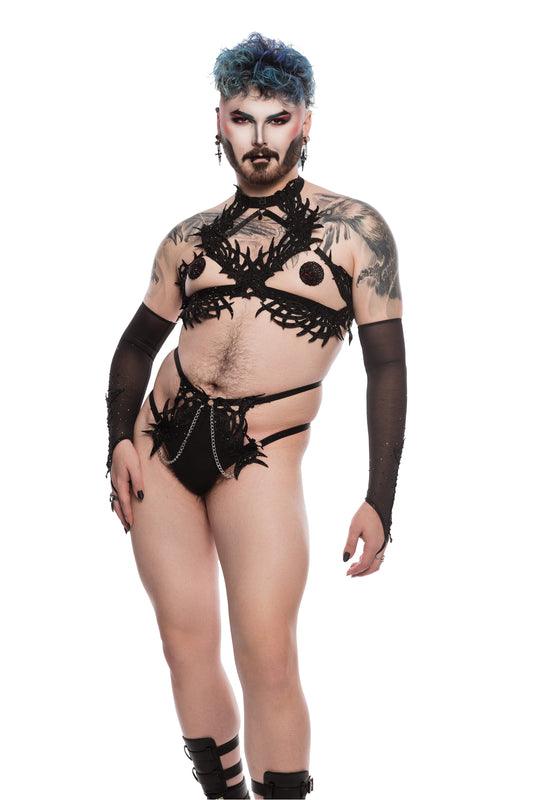 Vamp Harness Customised Set