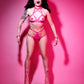 Vixen Harness Bra